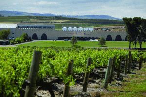 Taylors Wines takes on New Zealand