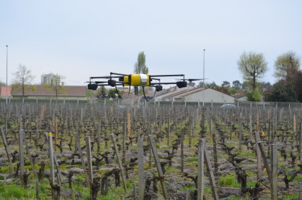Drones join battle against vine disease