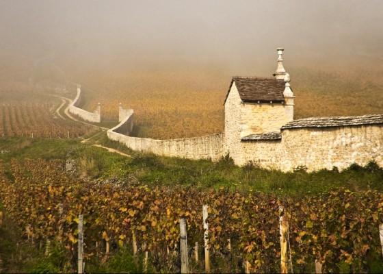 The changing face of Burgundy
