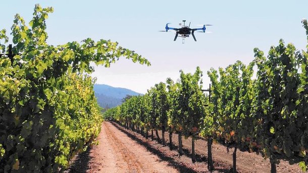 Drones will become part of the vineyard scene