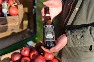Cider made from inner city apples 