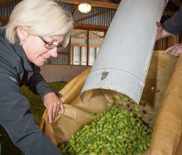 Fresh hop Harvest Pilsner set to go nationwide