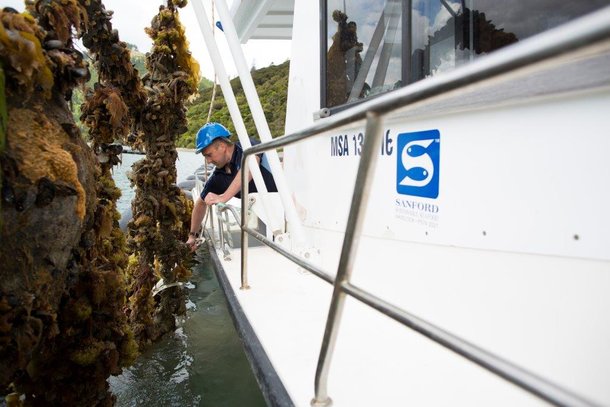 Diminished mussel crops affect Sanford staff