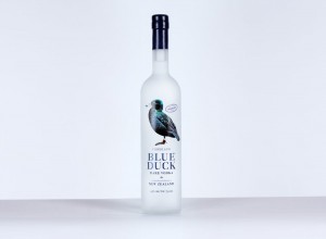 NZLN-Blue-Duck