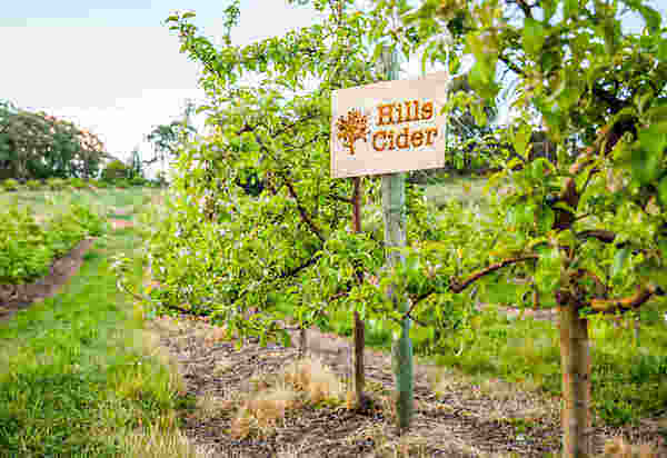 The Hills Cider Company arrives in NZ
