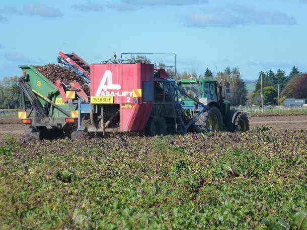 Continued commitment to growing New Zealand crops