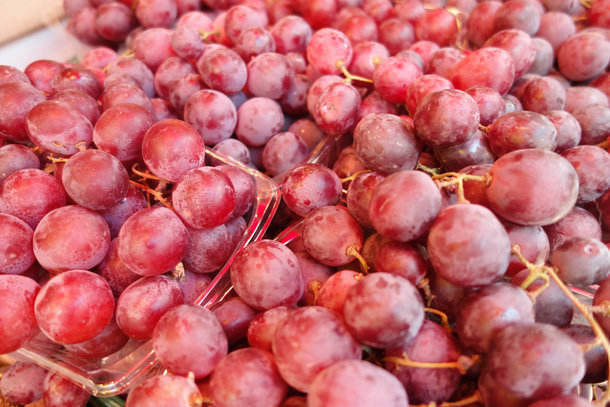 Imported grapes trigger spider alert