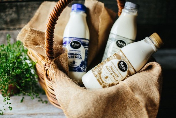 Puhoi Valley launches organic milk range