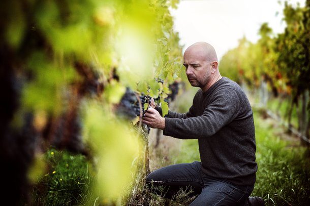 Church Road Winery’s Chris Scott named New Zealand Winemaker of the Year