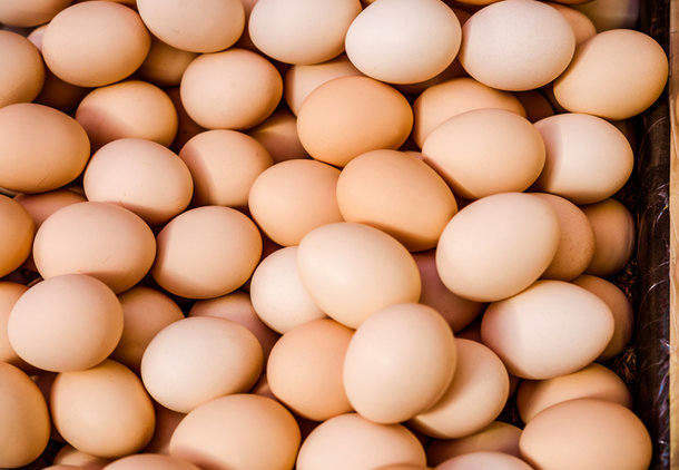 Countdown pulls eggs sold by Palace Poultry as free-range from shelves