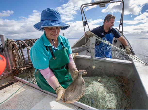 Family business finds fresh fish for New World
