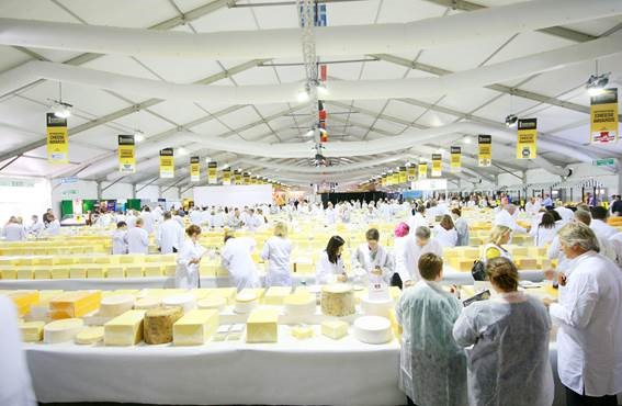 Fonterra scoops silver awards at international cheese show