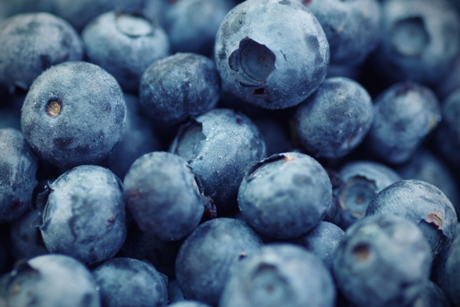 Fresh NZ blueberries arrive in store