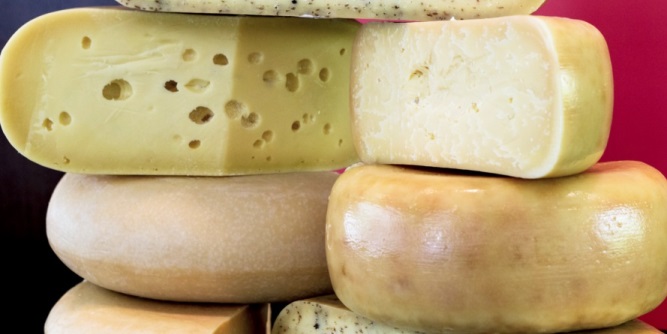 NZ Champions of Cheese trophy winners revealed