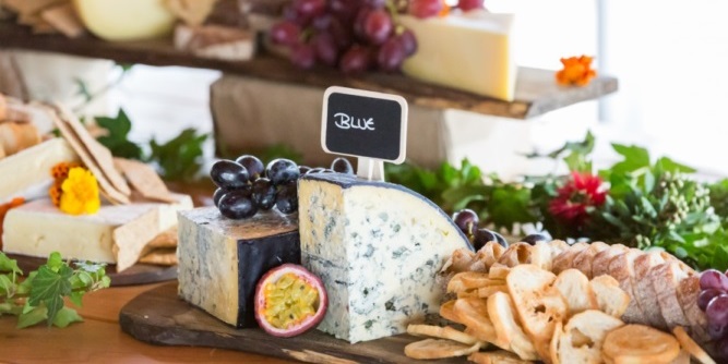 NZ Champions of Cheese Awards 2019 in Hamilton