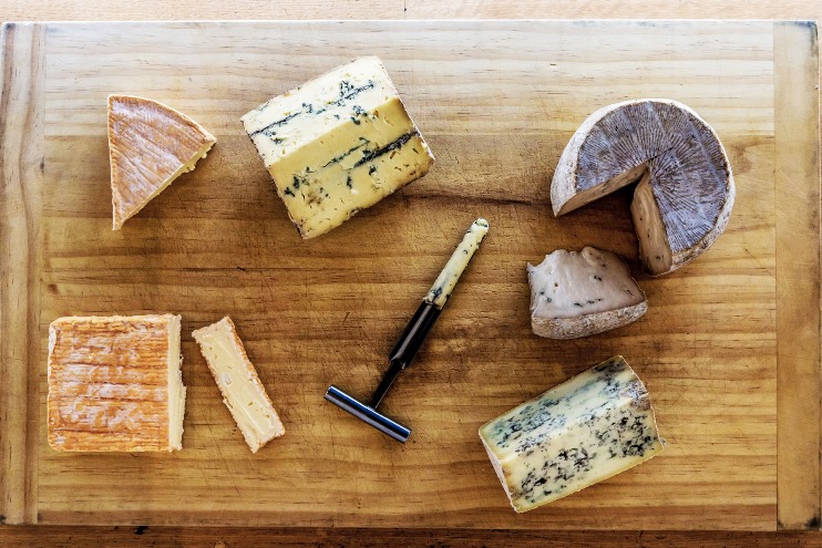 Cheeses roll in for NZ Champions of Cheese Awards
