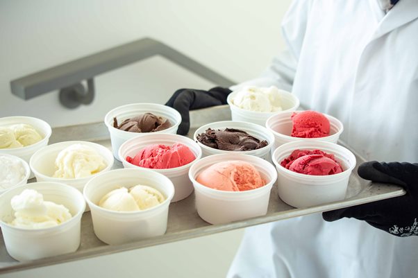 Hunt is on for NZ’s top ice creams