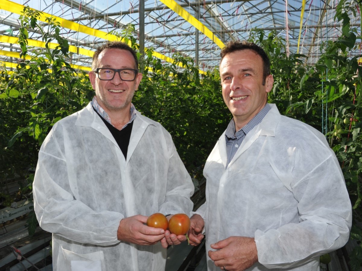 NZ’s first food waste-to-bioenergy facility underway