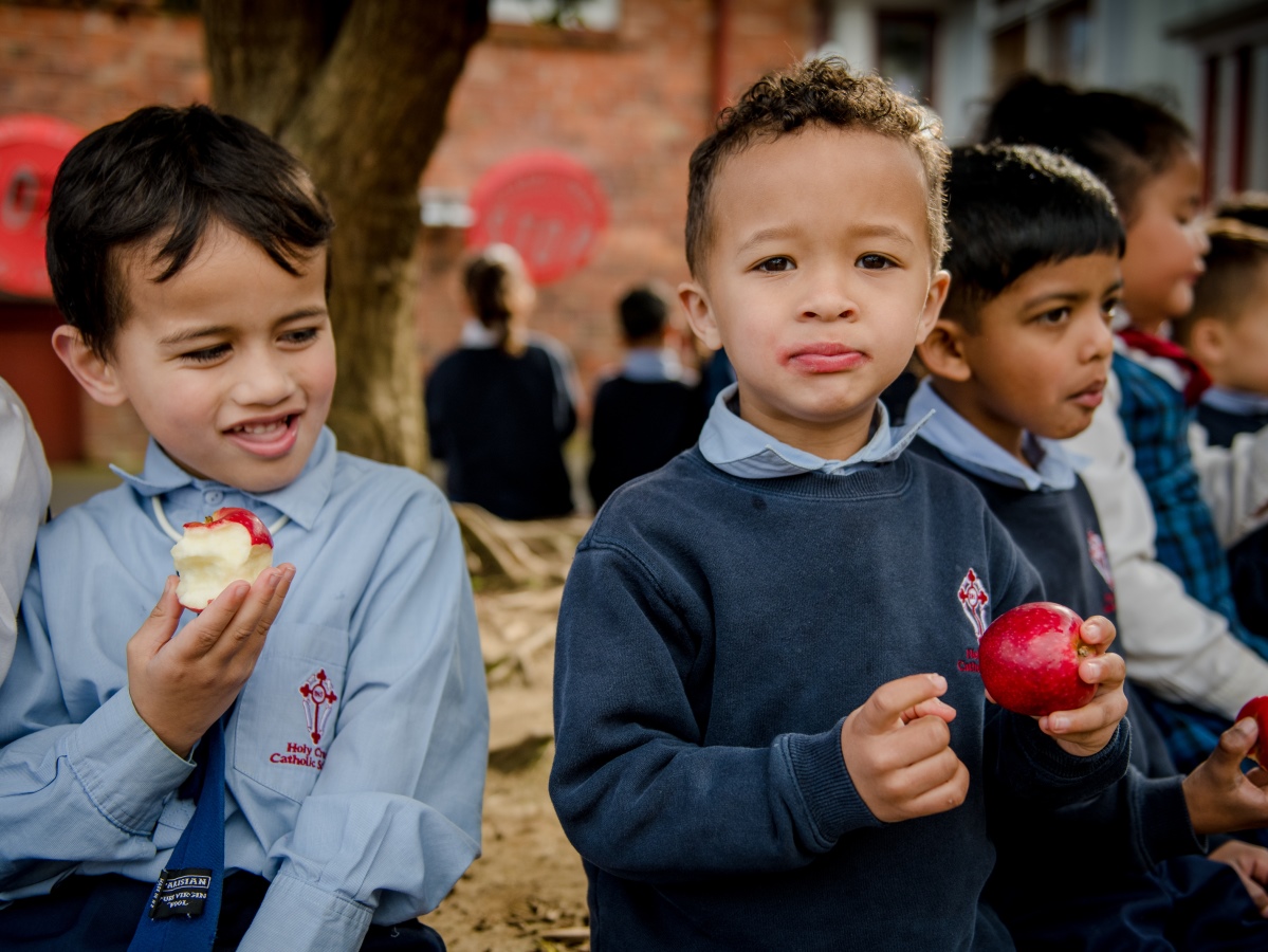 NZ’s Fruit & Vegetables in Schools Initiative  acknowledged globally