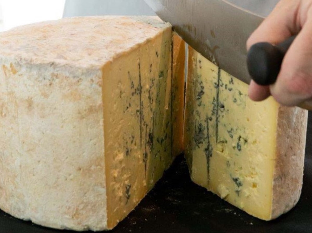 NZ Champions of Cheese trophies revealed