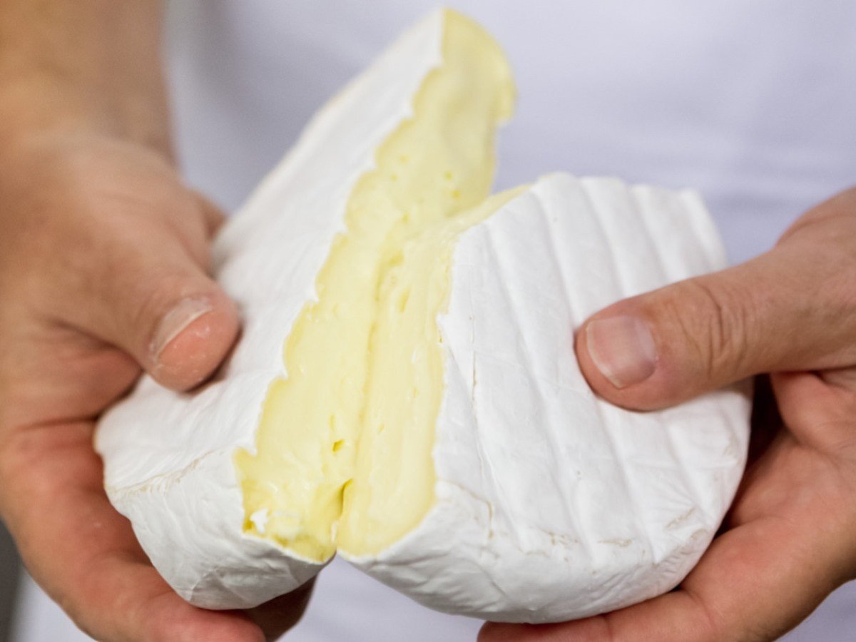 New master judge for NZ Champions of Cheese Awards