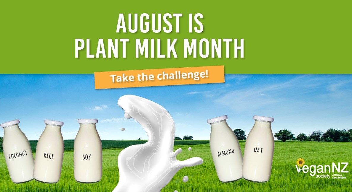 Celebrating Plant Milks This Month