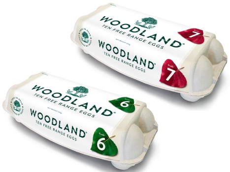 Woodland eggs cheesecake shop