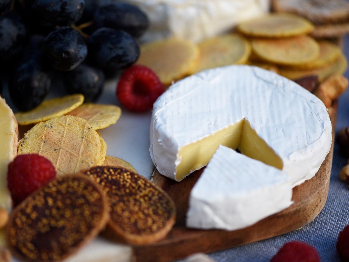 Cheese tastings are back for NZ Cheese Month