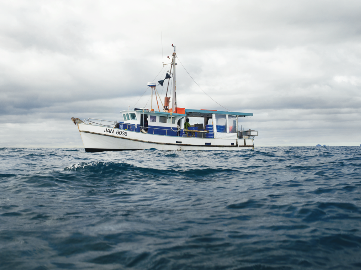 Foodstuffs supports Lee Fisheries to help combat rising fuel costs