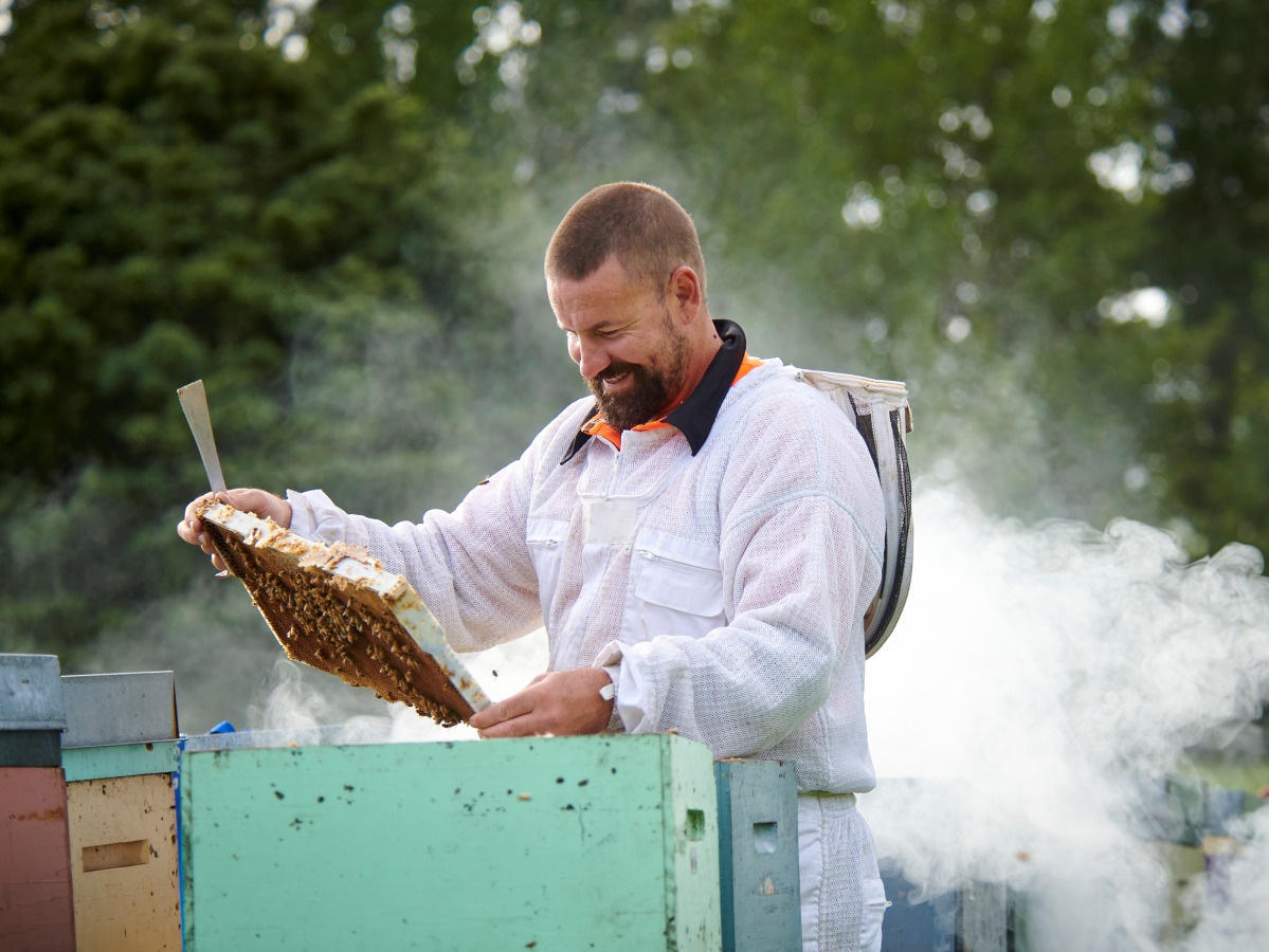 Sweet global success for local honey business