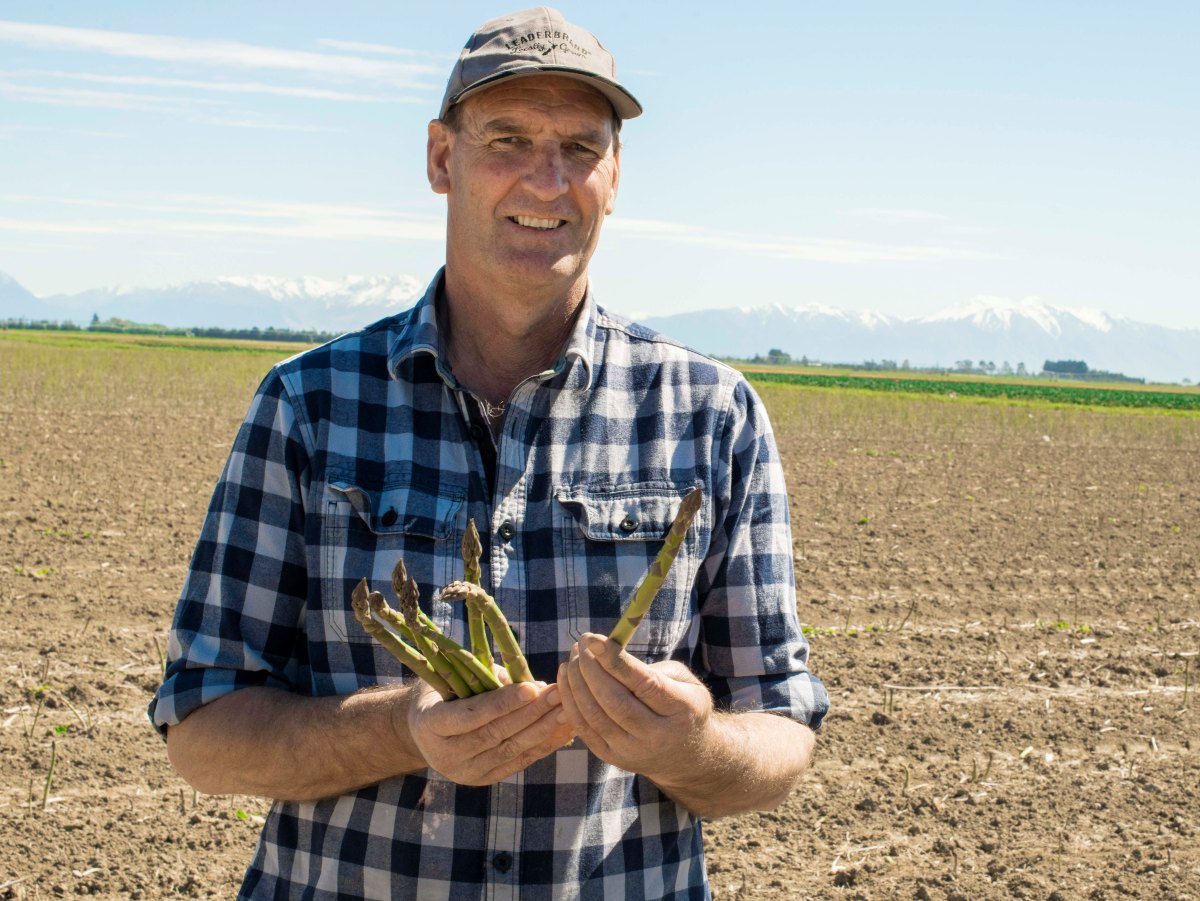 First asparagus hits NZ stores