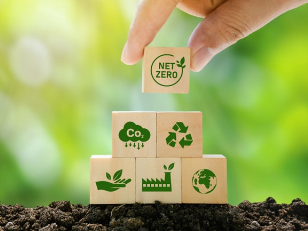 BusinessNZ Network achieves net carbon zero