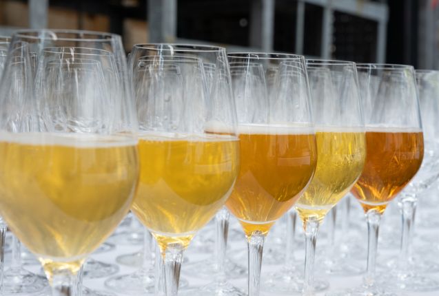 Trends put to the taste test at New World Beer & Cider Awards 