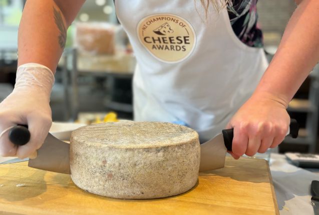 NZ Champions of Cheese Awards 2024